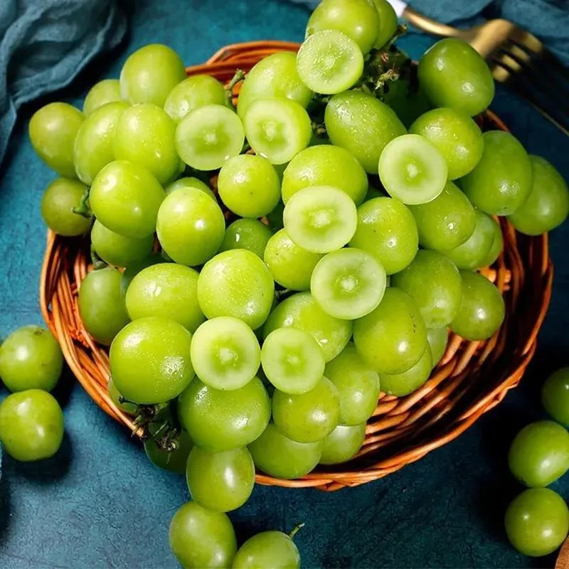 Óriás szőlőfa magjai: Vékony héjúak, nagyok és mag nélküliek 🍇🌿