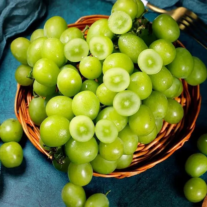 Óriás szőlőfa magjai: Vékony héjúak, nagyok és mag nélküliek 🍇🌿