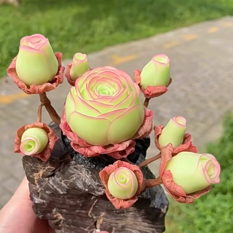 🌱🌹Hegyi Rózsa: Szépség, ami sosem fakul, még a kezdő pengékkel játszók számára sem!" 🌺